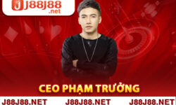 CEO Phạm Trưởng